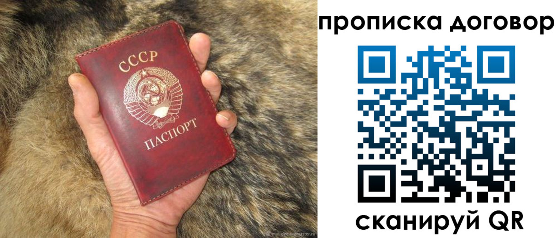 временная регистрация для всех в Великих Луках